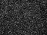 Black_Mulch