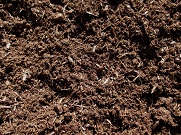 Chocolate_Pine_Bark_Mulch