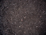 Organic_Compost